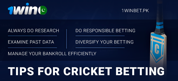 1Win Player Tips for Online Cricket Betting