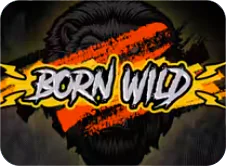 Born Wild