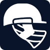 Cricket betting icon